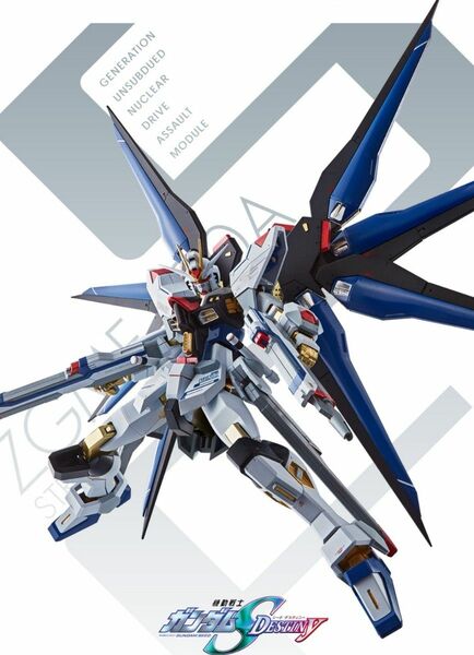 ◎極上未使用品！ METAL ROBOT魂 ＜SIDE MS＞ ストライクフリーダムガンダム