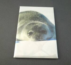  art gallery goods magnet we Dell seal. baby 