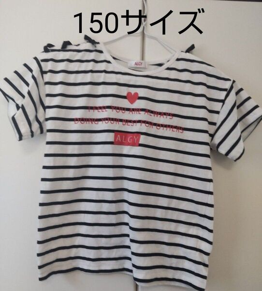 150サイズ Algy ボーダー 半袖 Tシャツ 