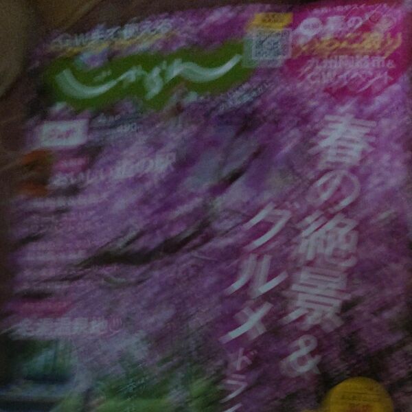 九州じゃらん４月号