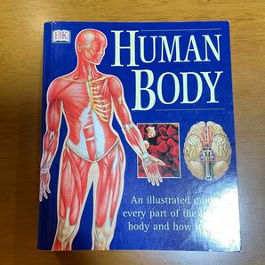 ヒューマン・ボディ（Human Body)人間の体