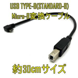 【未使用品】USB TYPE-B USB2.0 Micro-B変換ケーブル 長さ約30㎝【ネコポス配送】【ジャンク品】《管理番号：2404F-07》