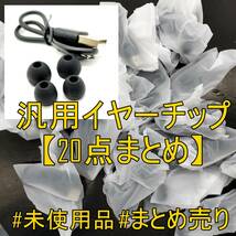 【20点まとめ】未使用品 汎用イヤーピース Lサイズ、Sサイズセット＆オマケ付 BLACKカラー【ジャンク品】《管理番号：2404F-43》_画像1