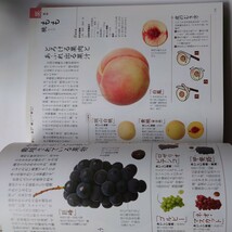 からだにおいしい野菜の便利帳　高橋書店　坂木利隆監修　2008年発行_画像8
