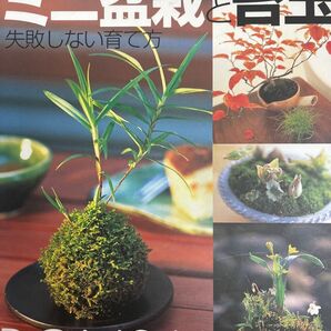 別冊NHK趣味の園芸「ミニ盆栽と苔玉」