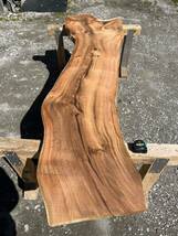 杉 ③ 樹齢約800年　御神木　無垢 一枚板 2.2mカウンター テーブル　レジン　看板　ベンチ　デスク　リバーテーブル　デスプレイ　シェルフ_画像1