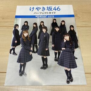 日向坂46 けやき坂46 グッズ パーフェクトガイド 日経エンタテイメント 2018年 5月号 特別付録 加藤史帆 齊藤京子 小坂菜緒 河田陽菜