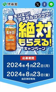 2024年伊藤園　健康ミネラル麦茶ポイント　263ポイント