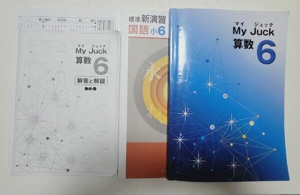 別冊解答 スクールIE専用教材小６書き込み無し算数国語2教科参考書