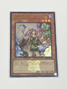 【遊戯王/YU-GI-OH/OCG】 水霊使いエリア　ロゴ有　ウルトラレア　A