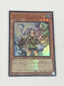 【遊戯王/YU-GI-OH/OCG】 水霊使いエリア　ロゴ有　ウルトラレア　B