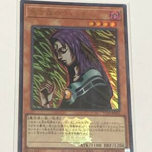 【遊戯王/YU-GI-OH/OCG】 黒き森のウィッチ ロゴ有 ウルトラレアの画像1