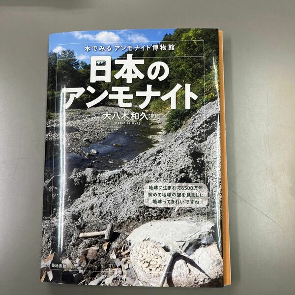 日本のアンモナイト　本でみるアンモナイト博物館 大八木和久／著　裁断済み