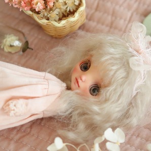 *..*custom petit Blythe.*・*.カスタムプチブライス*・..*の画像5