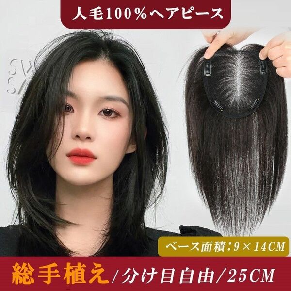 人毛100％ ヘアピース 総手植え 分け目自由 超軽量 蒸れにくい 装着簡単