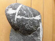 自然石「男根」一体　サイズ21×12㎝　重さ3.8㎏_画像1