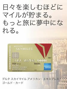 【正規紹介】デルタスカイマイル アメリカンエキスプレスゴールドカード 特典 16,000マイル AMEX 審査緩 ブラック 外国籍 低収入 主婦 歓迎