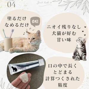 猫 歯磨き はみがき ジェル 30g×2 まとめ買いお得セット 日本製 なめるだけでもOK 歯周病を抑制する口腔ケアジェル 歯石 口臭 歯垢 口腔 の画像6