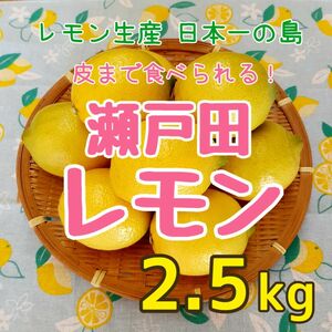 広島県 瀬戸田産 レモン 2.5kg 減農薬 ノーワックス 産地直送