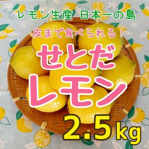 広島県 瀬戸田産 レモン 2.5kg 減農薬 ノーワックス 産地直送