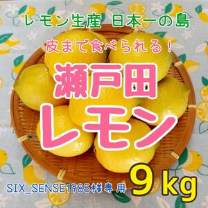 【SIX_SENSE1985様専用】広島県 瀬戸田産 レモン 9kg