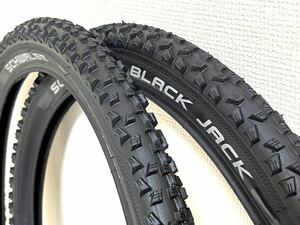 【送料無料特価】Schwalbe Black Jack 20×1.90 新品2本セット