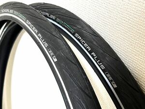 SCHWALBE