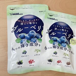 【2袋セット】サプリ専門ショップ　シードコムス　Seed coms ブルーベリー サプリメント
