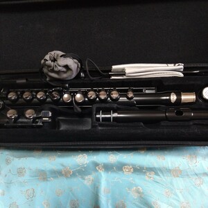 nuvo STUDENT FLUTE 美品です。