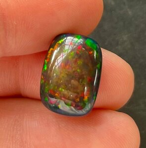 [ крупный ] первоклассный высший класс натуральный black opal квадратное разрозненный 17.8×13mm 10.0ct. цвет красивый один иен ~