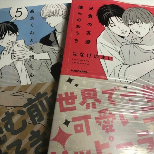 はなげのまい　高良くんと天城くん 5 兄貴の友達　僕らのおうち