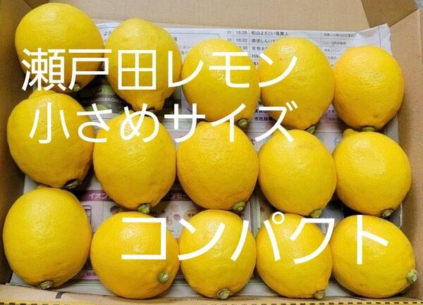 瀬戸田レモン　小玉果　コンパクト