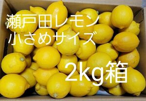 瀬戸田レモン　小さめ　2kg箱