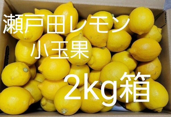 瀬戸田レモン　小玉果　2kg箱