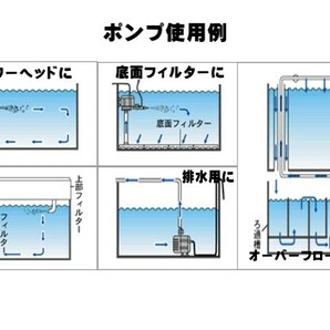 カミハタ リオプラス Rio+2500 50Hz 東日本仕様 水中ポンプ 管理60の画像2