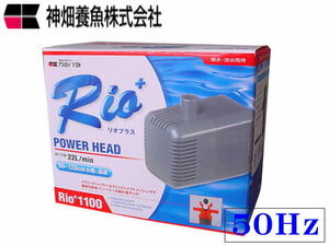 kami is ta rio plus Rio+1100 50Hz higashi day main specification submerged pump control 60