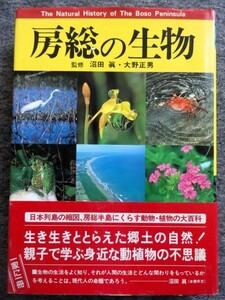 ■4c6　房総の生物 監修/沼田眞 大野正男 河出書房新社 1985/5 初版 ハードカバー 帯付 動物・植物の大百科 写真 図版豊富 図鑑