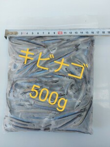 冷凍キビナゴ500g ！！！