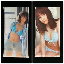 当時物　AKB48 島崎遥香　ぱるる　90cm×45cm 2wayトリコット　抱き枕カバー　希少　レア_画像5