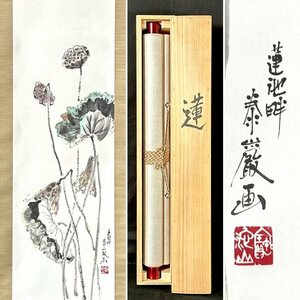 Art hand Auction [أصيلة] لفيفة معلقة من Taigan Ho Lotus Paper Flowers من قبل رئيس كهنة معبد رينجوجي مع صندوق H040117, تلوين, اللوحة اليابانية, الزهور والطيور, الحياة البرية