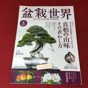 h-223 ※4 盆栽世界 2015年5月号 2015年5月1日 発行 エスプレス・メディア出版 雑誌 盆栽 趣味 写真 真柏 園芸