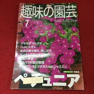 h-247 *4 NHK hobby. gardening 2001 year 7 month number 2001 year 7 month 1 day issue Japan broadcast publish association magazine gardening hobby pechunia hibiscus man te vi la