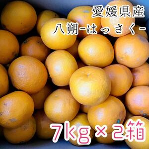 1はっさく7kg×2箱 2399円 愛媛県産 訳あり家庭用 柑橘