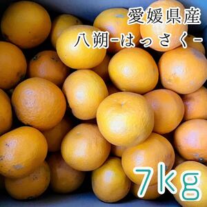 1はっさく7kg 1599円 愛媛県産 訳あり家庭用 柑橘