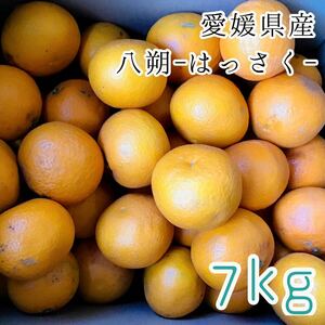 1はっさく7kg 1299円 愛媛県産 訳あり家庭用 柑橘