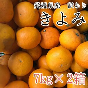 きよみ7kg×2箱 2599円 愛媛県産 訳あり家庭用 柑橘