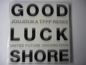 【出ました！新品】 UNITED FUTURE ORGANIZATION / Good Luck ～