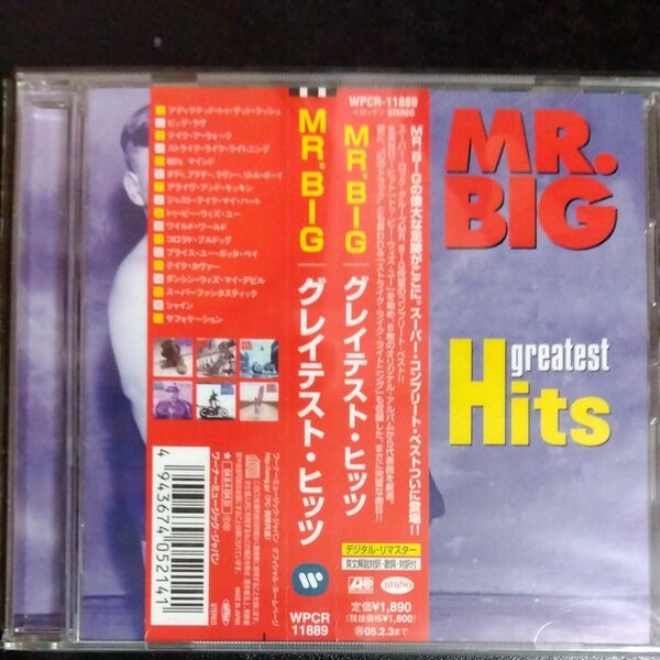 MR.BIG【2024/05/18日まで 期間限定値下げ】