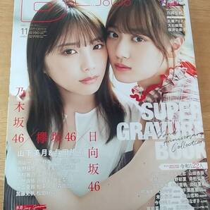 月刊 BLT 2019.11 中古品 付録欠品 総ページ数220P 記念号 山下美月 与田祐希 上西怜 武田雛歩 横野すみれ