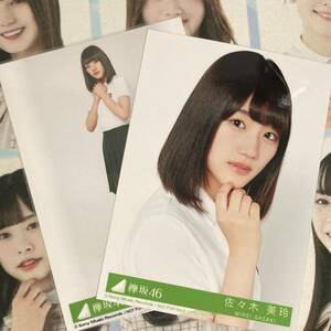 日向坂46 佐々木美玲 生写真 封入 2